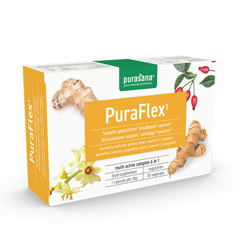 Purasana PuraFLEX 6 in 1 Vitamin Komplex Vegetarisch 30 Kapseln - 13.5 Gramm